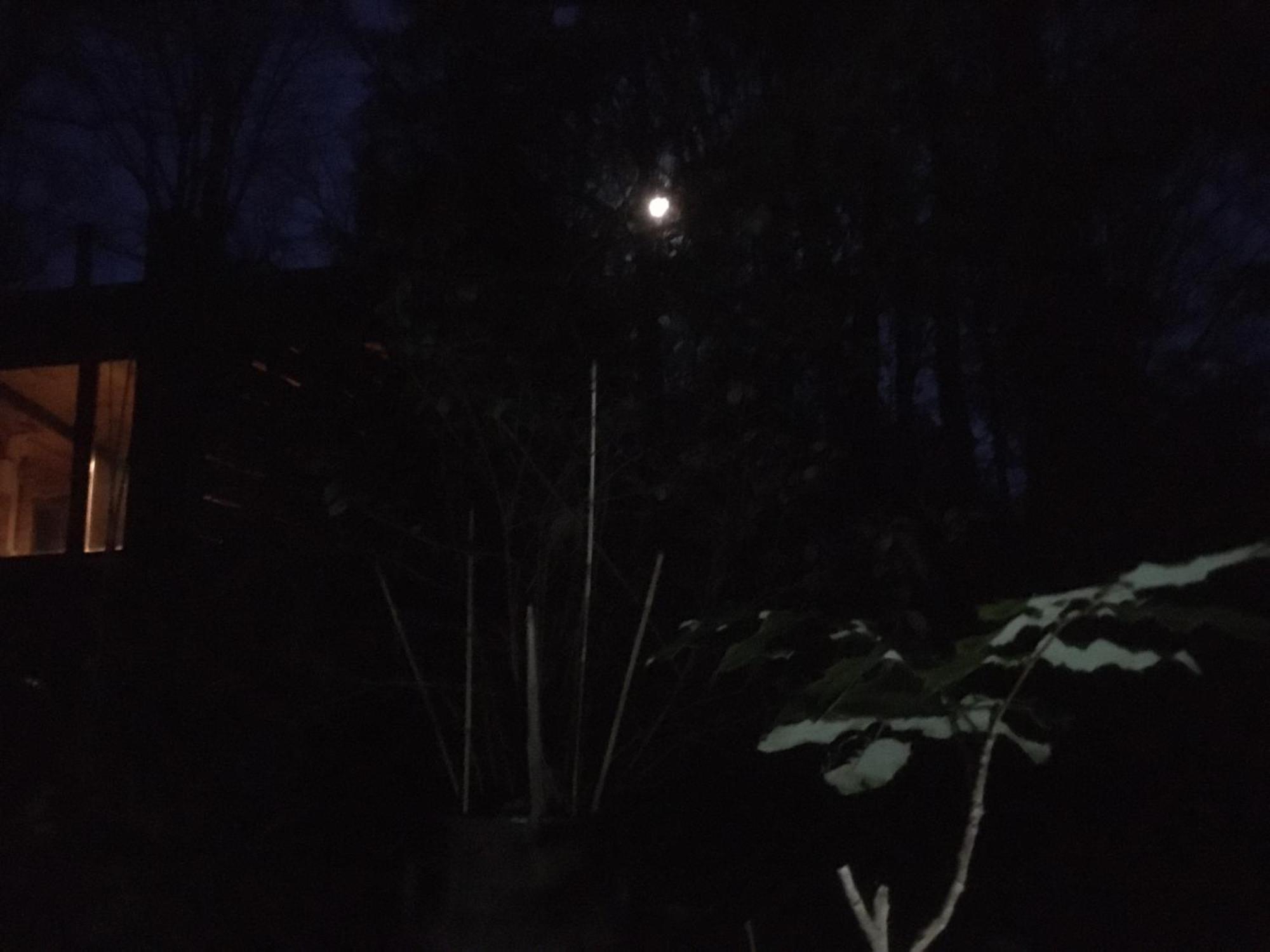 Bungalow Biberspur Zieko Bagian luar foto