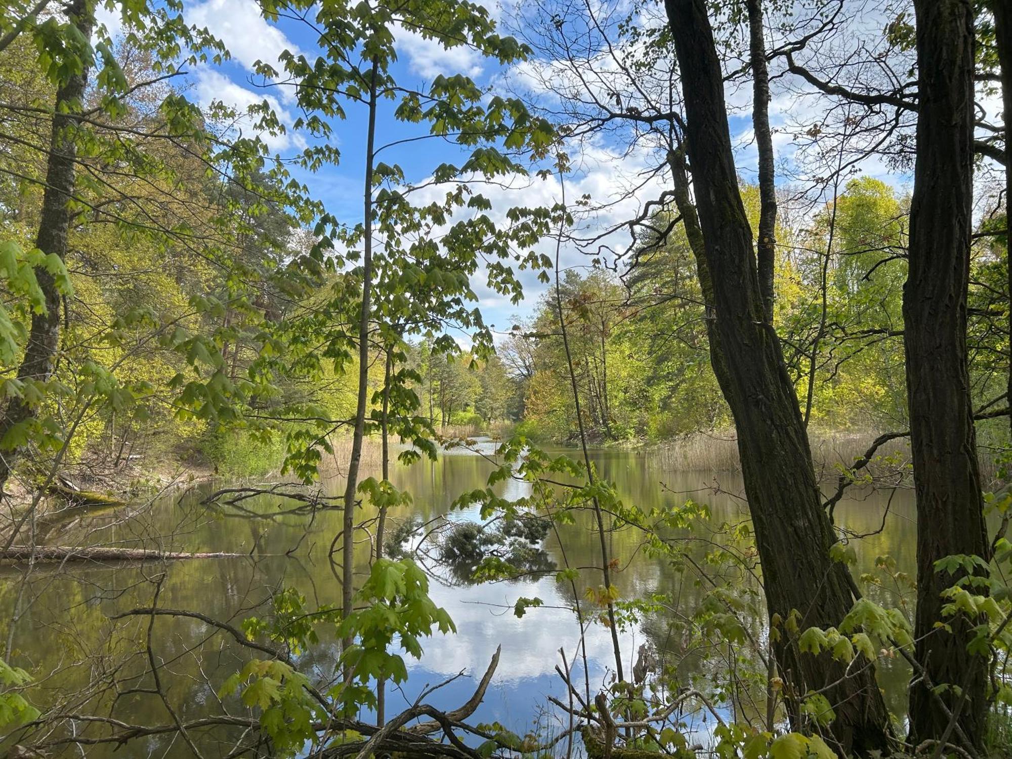Bungalow Biberspur Zieko Bagian luar foto