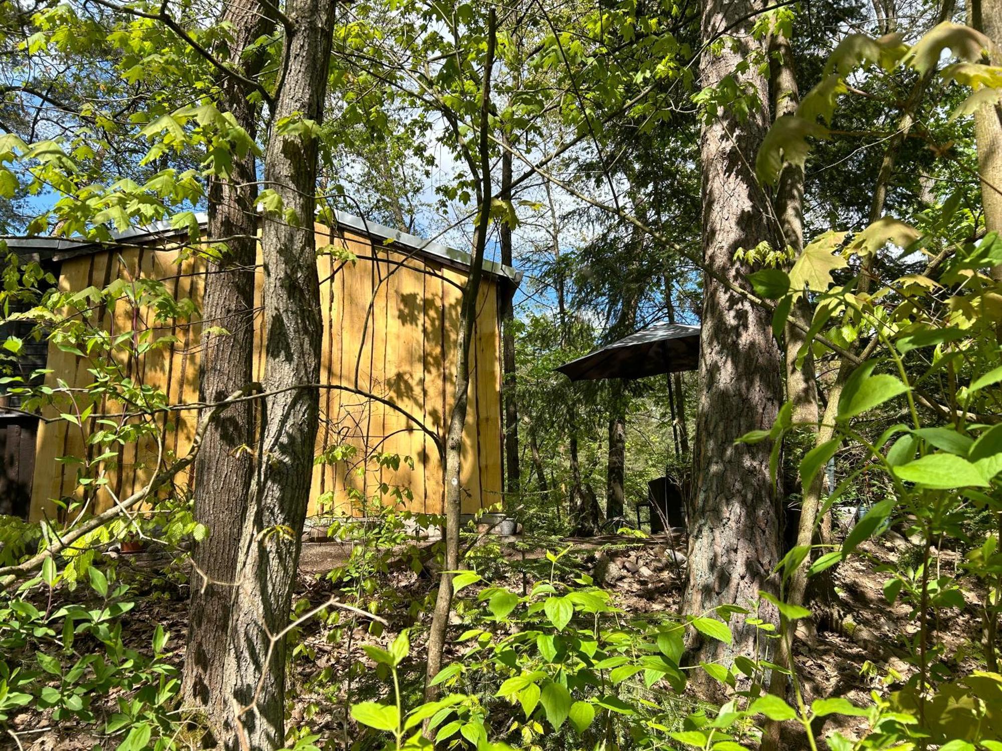 Bungalow Biberspur Zieko Bagian luar foto