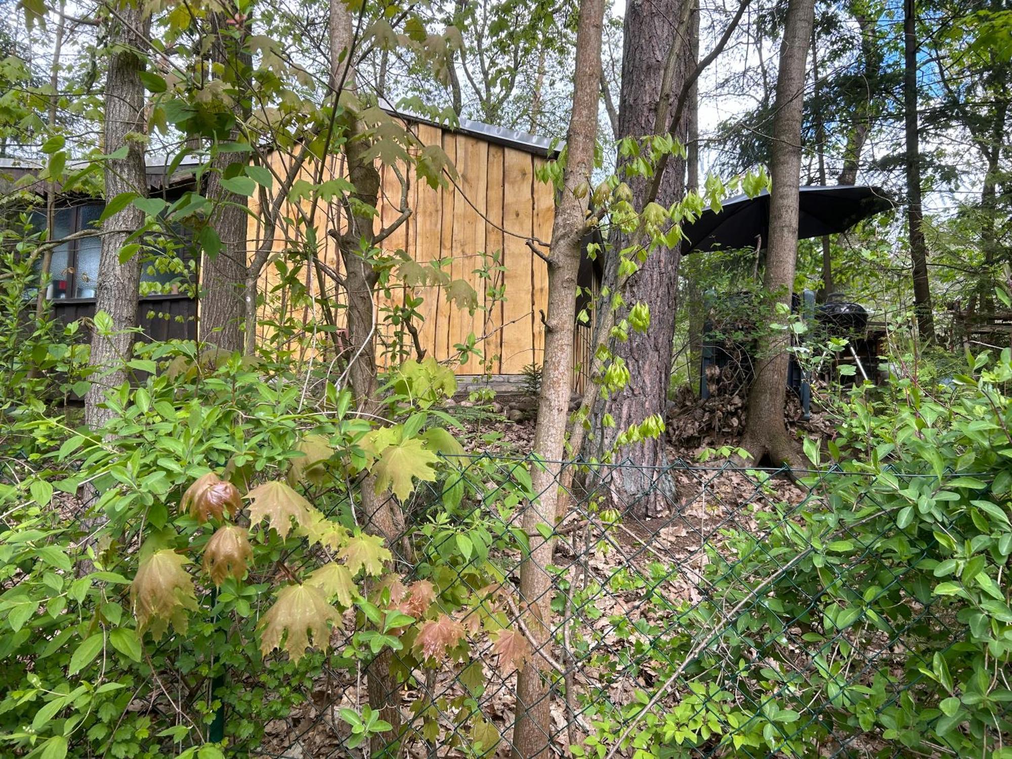 Bungalow Biberspur Zieko Bagian luar foto